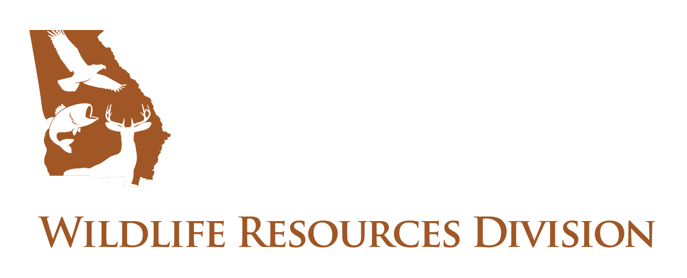 How do you obtain a hunting license in Georgia?